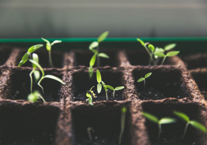 portefeuille durable